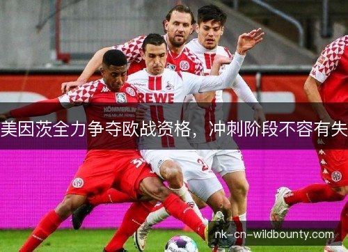 美因茨全力争夺欧战资格,冲刺阶段不容有失 美因茨全力争夺欧战资格,冲刺阶段不容有失